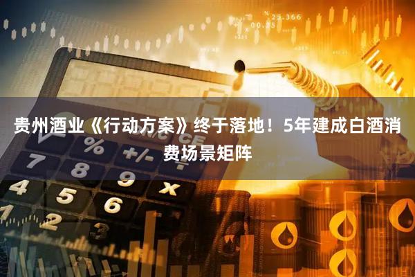 贵州酒业《行动方案》终于落地！5年建成白酒消费场景矩阵